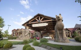 Cincinnati Great Wolf Lodge